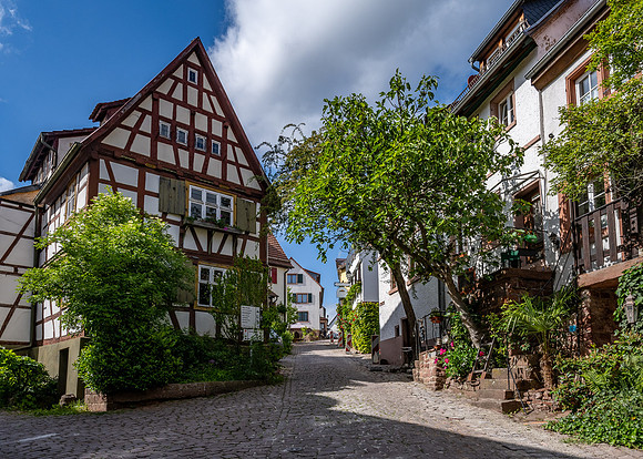 The main street into Dilsburg Fortress