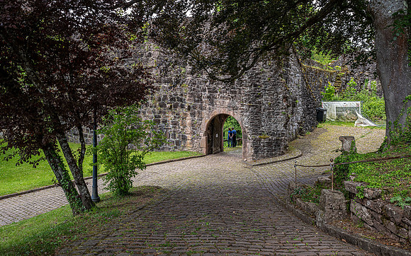 Hirschhorn Castle