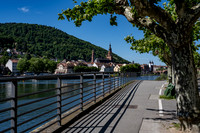 View of Heidelburg old town from across the Main river