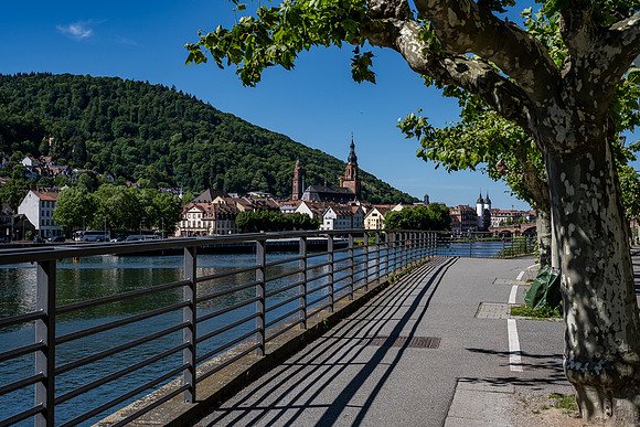 View of Heidelburg old town from across the Main river