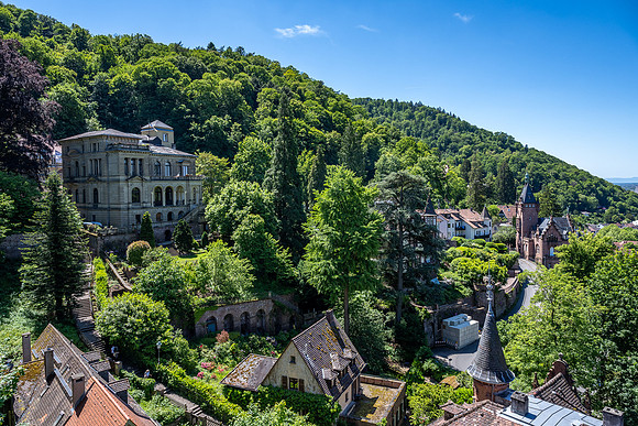 View of the road up to Heidelburg Castle