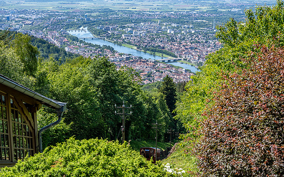 View of Heidelburg old town and Main river from Königstuhl peak.