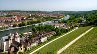 Vineyards below Würzburg Fortress overlooking the town and Main river