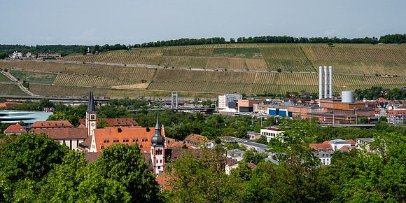 Vineyards on the hills above  Würzburg