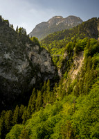 Marienbrücke from Neuschwanstein Castle