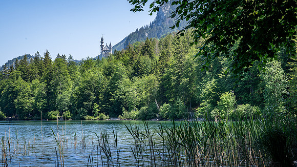 View of Neuschwanstein Castle from Alpsee