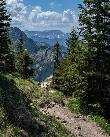 View from hiking trail towards the Austrian Alps