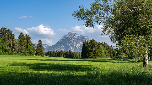 The Säuling mountain peak