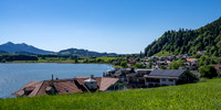 Hopfen am See