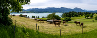On the road out of Hopfen am See