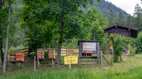 Beehives
