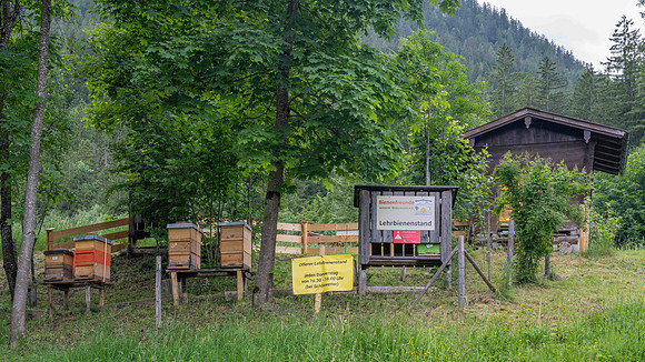 Beehives
