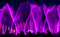 The Magic Lake Show