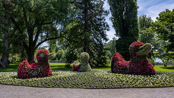Botanic Gardens, Mainau