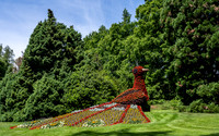 Botanic Gardens, Mainau