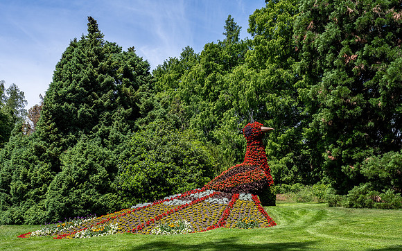 Botanic Gardens, Mainau