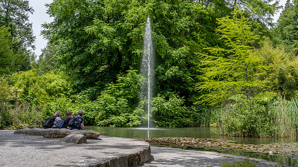 Botanic Gardens, Mainau