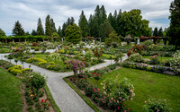 Rose Garden to Mainau Castle
