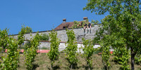 Fete Revellers on the Menzinger Garden Wall
