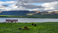 Svalbarðseyri