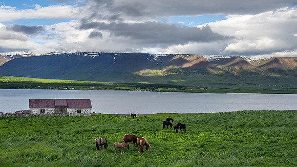 Svalbarðseyri