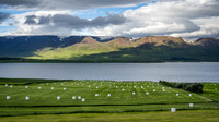 Svalbarðseyri