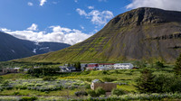 Rural Community outside Ísafjörður