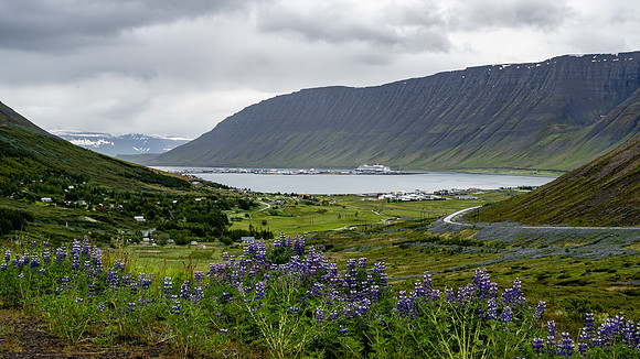 View over Ísafjörður