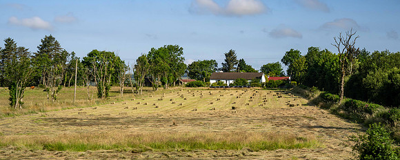 Haymaking around Killybegs