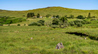 Tymeen View - Tree stumps and peat bank (right)