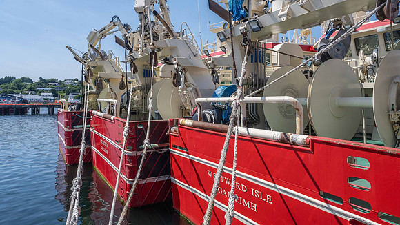 Fishing Vessels in Killybegs Harbour