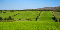 View over the Burren showing division of land