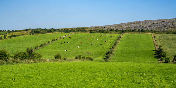 View over the Burren showing division of land