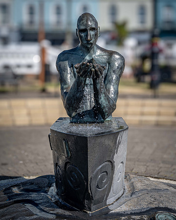 The Navigator