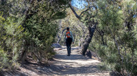 Freycinet National Park