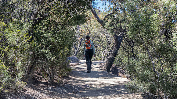 Freycinet National Park