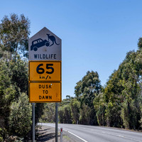 Kangaroo warnings in Moulting Lagoon Game Reserve