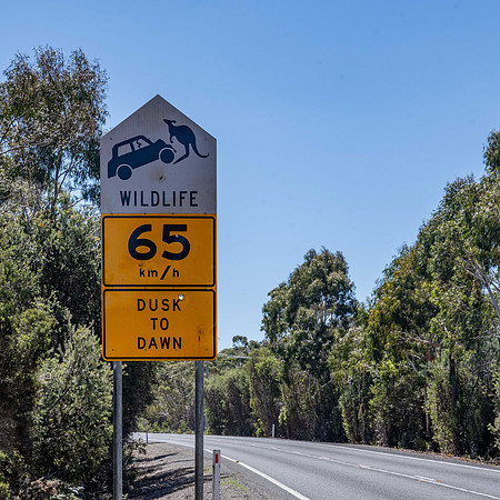 Kangaroo warnings in Moulting Lagoon Game Reserve