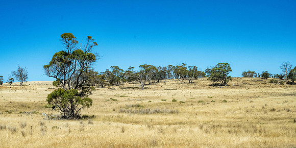 View from the A3, Tasman Highway