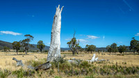 View from the A3, Tasman Highway