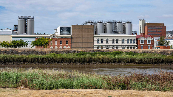 The Esk Brewery