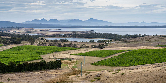 Devil's Corner Vineyards leading to Great Oyster Bay