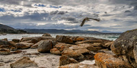 Bicheno Beach