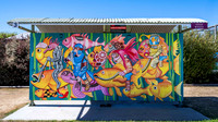 Sheffield - Town of Murals