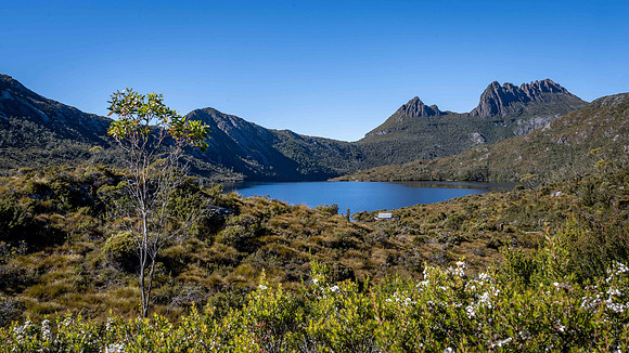 Dove Lake and Cradle Mountain