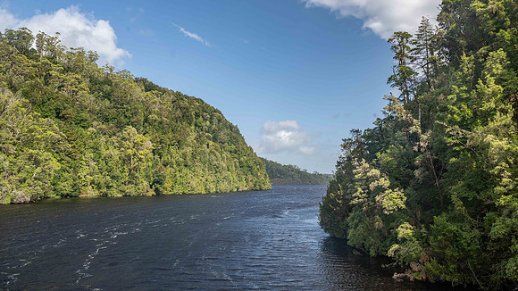Gordon River