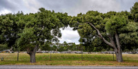Lumber business in Srachan