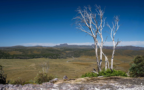 View towards Cradle Mountain