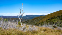 Vale of Belvoir Conservation Area