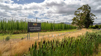 Bushy Park - Tasmania